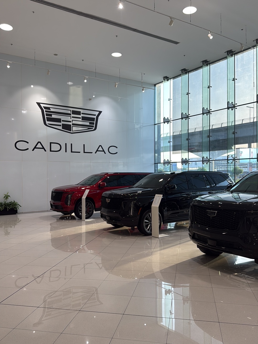 Al Ghandi Auto Showroom SZR - معرض الكندي للسيارات شارع الشيخ زايد photo