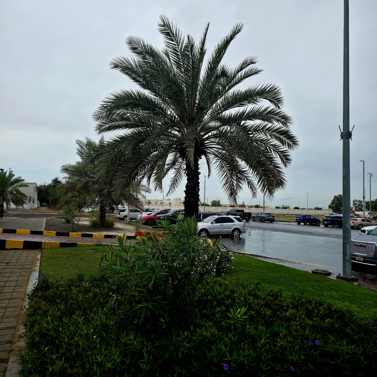 Bin Hamoodah Auto - Service Center photo