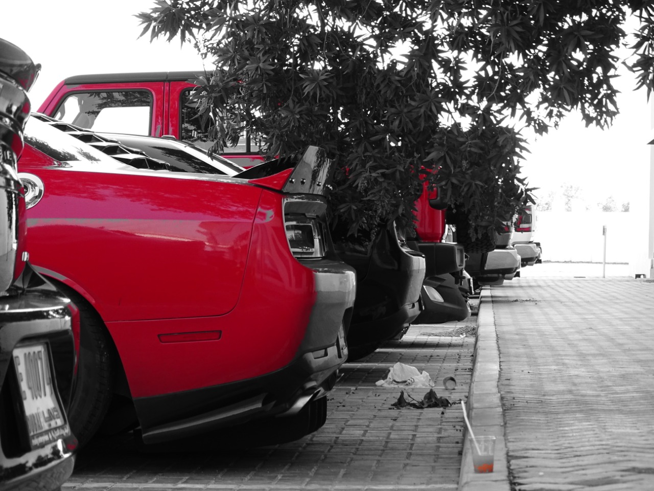 Mopar service center photo