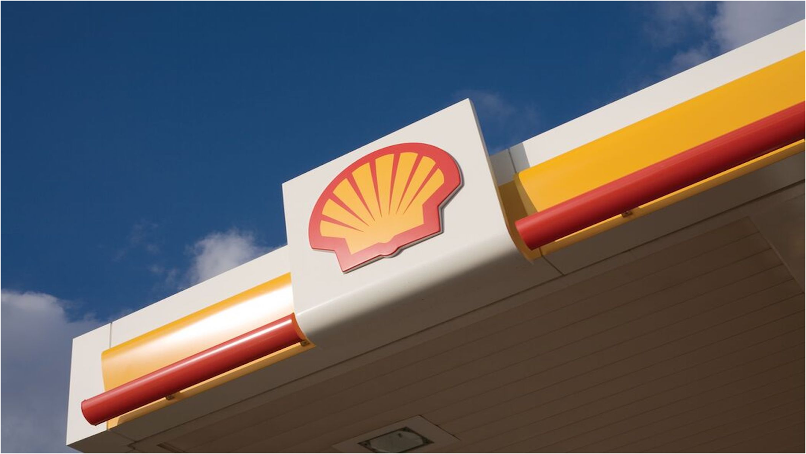 Shell photo