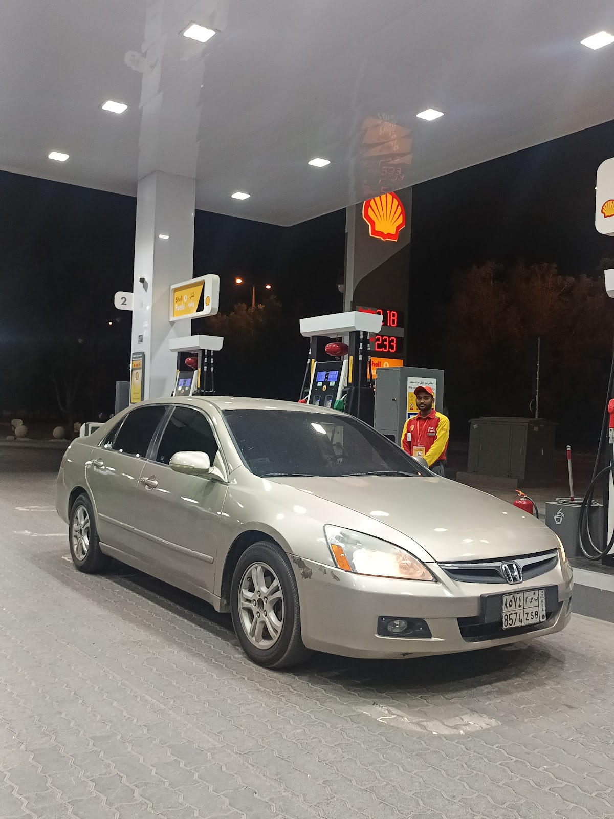 Shell photo