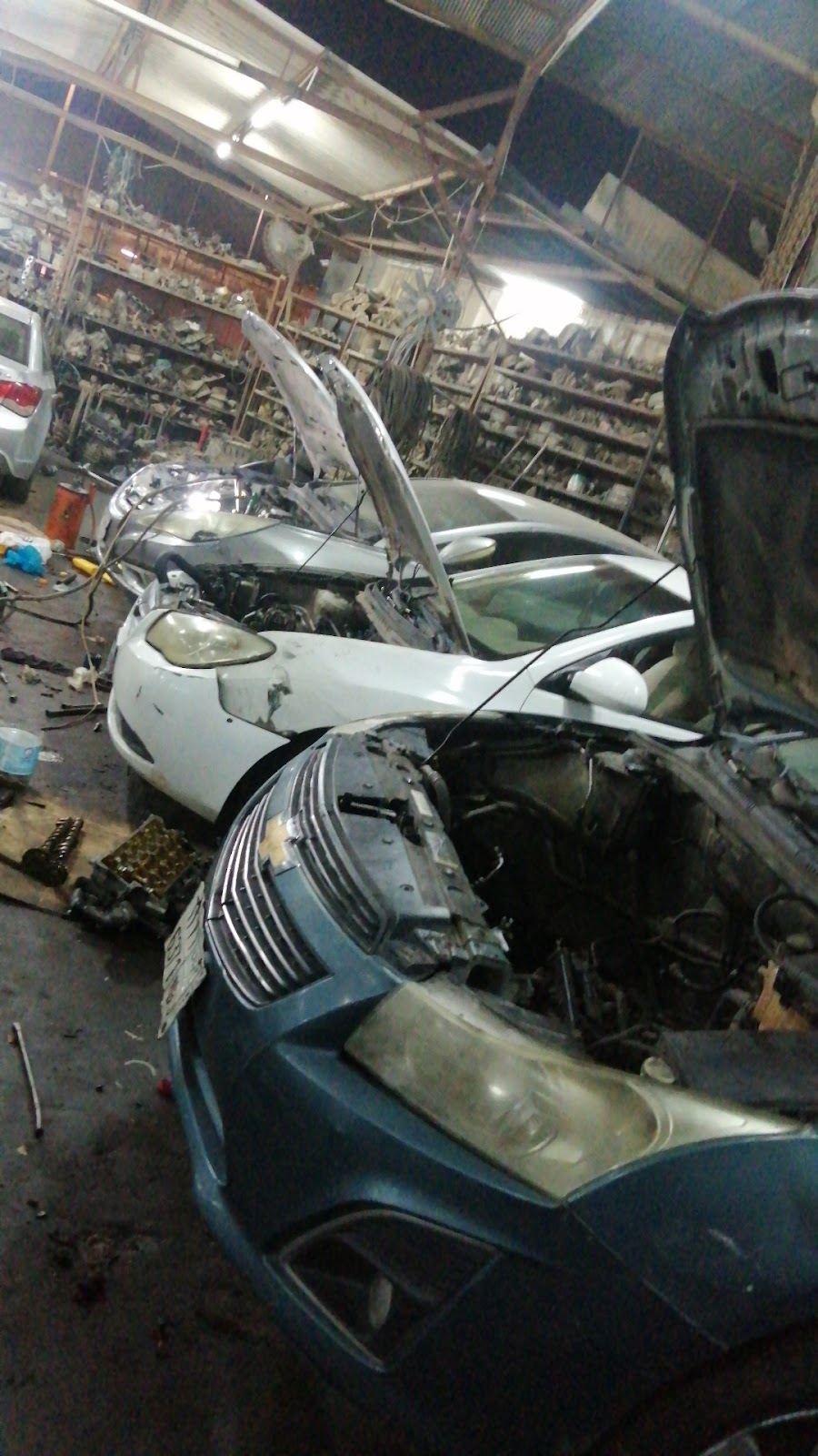 Tashlia abd.rahman bin aidah photo