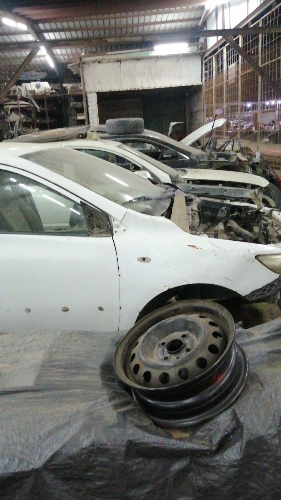 Tashlia abd.rahman bin aidah photo
