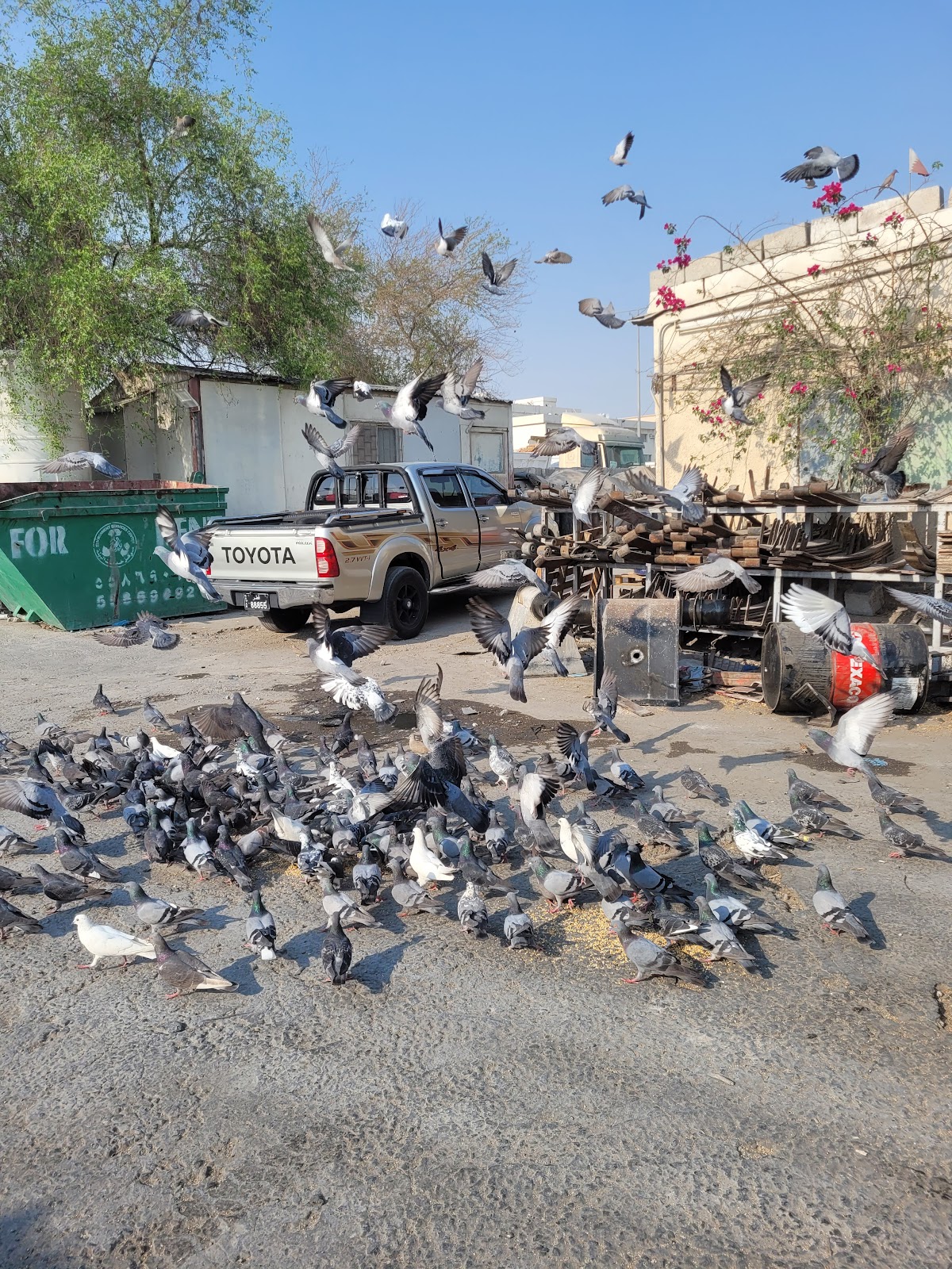 WARDA ALWATAN CARS & EQUIPMENT TRADING (Doha Rose Garage) photo
