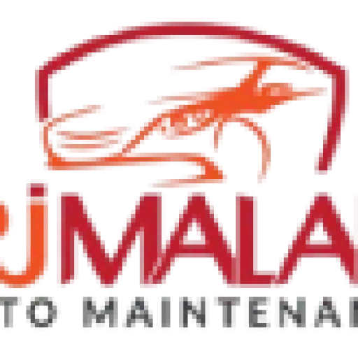 Lucky Star Auto Maintenance logo