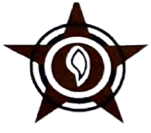 Nine Star Trading Co. LLC. logo