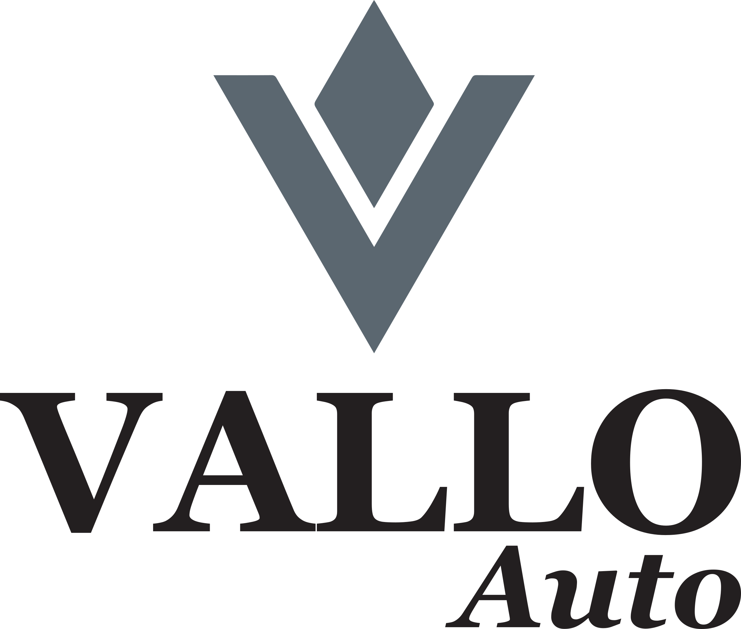 Vallo International Auto Workshop logo
